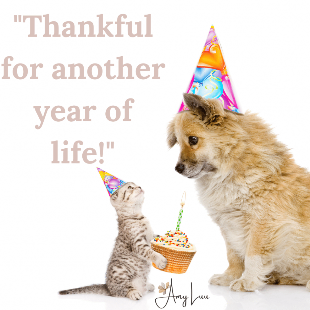 Thankful for another year of life quotes